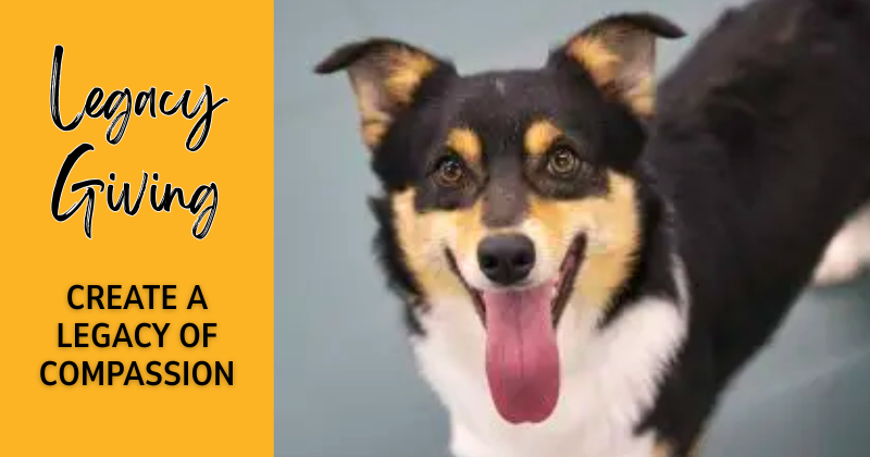 Happening Now_pop ups graphics NMDR (19)