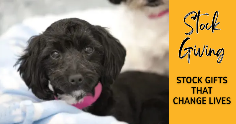 Happening Now_pop ups graphics NMDR (25)