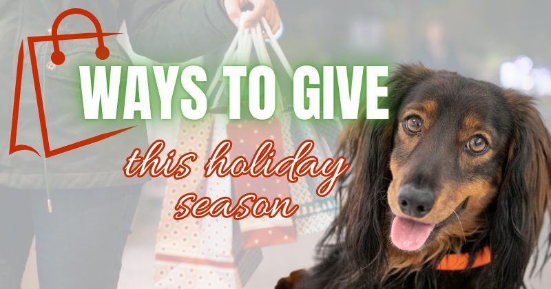 Ways to give NMDR 2025 Year End Giving Campaign Unseen Hearts